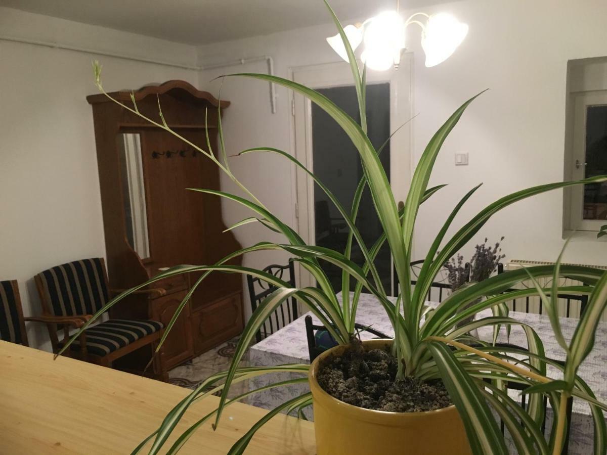 Levendula Apartmanhaz Sumeg Exterior photo